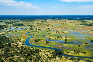 Grup Turu | Botswana: Belmond ile Lüks Afrika Deneyimi, 25 Haziran - 02 Temmuz 2027