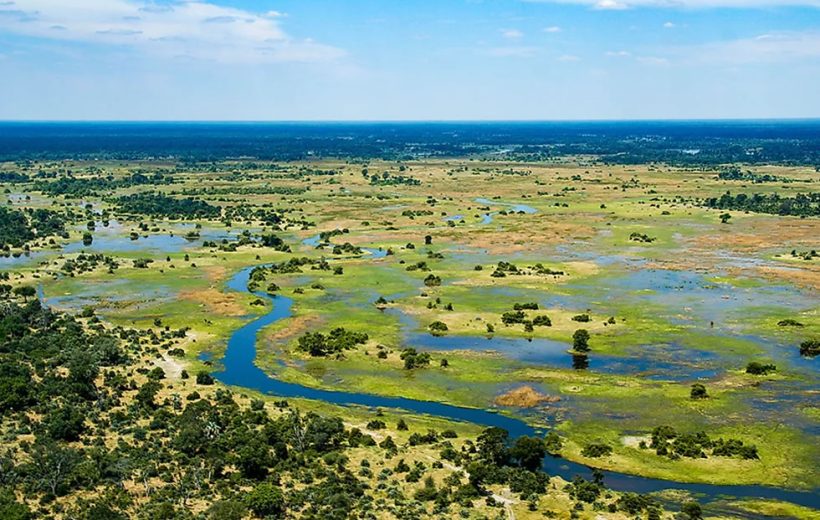 Grup Turu | Botswana: Belmond ile Lüks Afrika Deneyimi, 25 Haziran - 02 Temmuz 2027