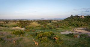 Grup Turu | Kenya’da Özel Bir Safari: Naboisho Conservancy, 28 Kasım - 03 Aralık 2026