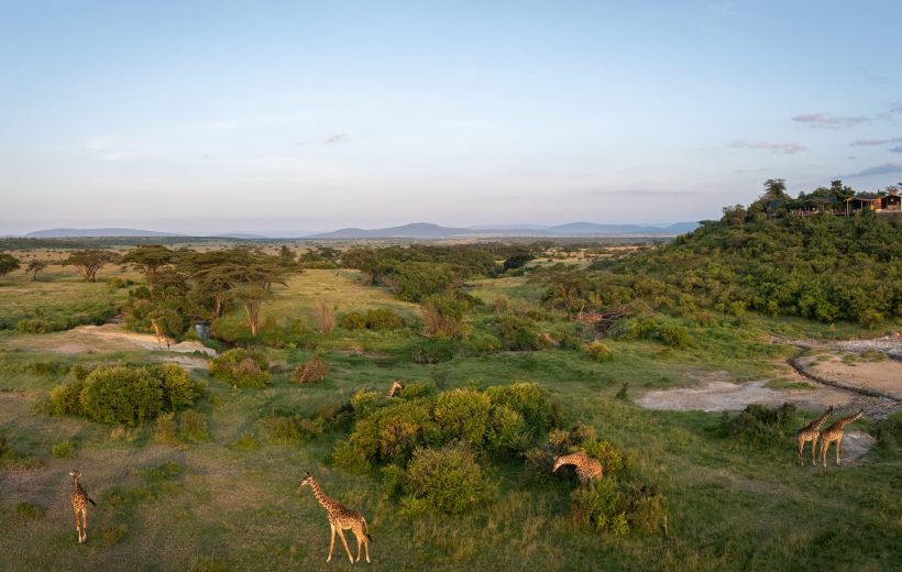 Grup Turu | Kenya’da Özel Bir Safari: Naboisho Conservancy, 28 Kasım - 03 Aralık 2026