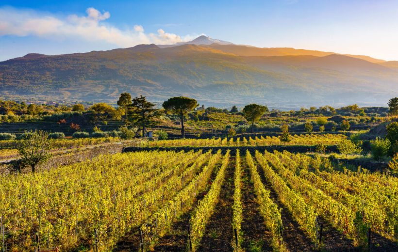 Grup Turu / Sicilya’nın Volkanik Bağları ve Barok Şehirleri:  Etna’dan Vittoria’ya Şarap & Kültür Yolculuğu, 28 Ekim – 1 Kasım 2026